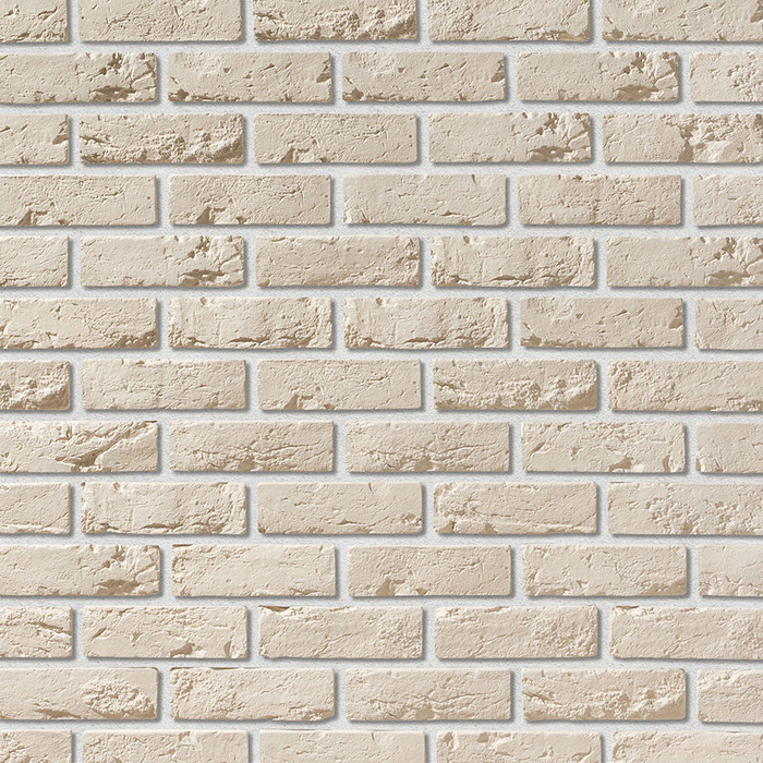 leonardo-liongips-404