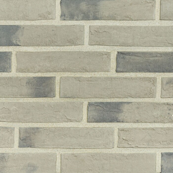 lifebrick-clio-480